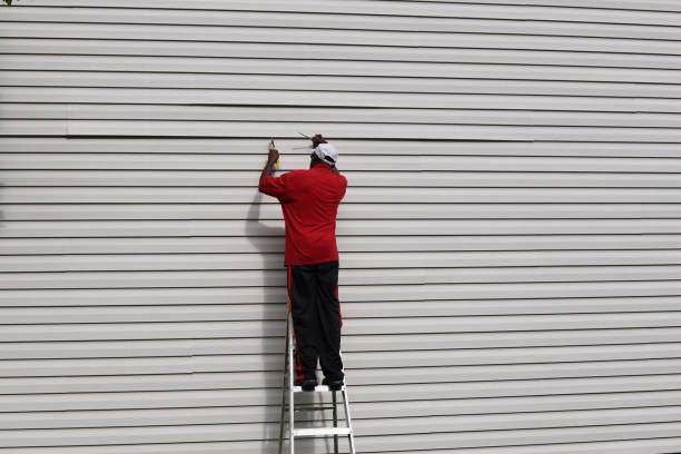 Professional Siding in Walhalla, SC